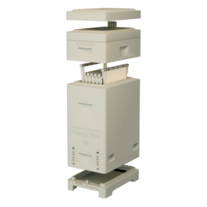 The Hive | Primal Bee