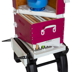 Quad System | The Ultimate Modular Beekeeping Solution