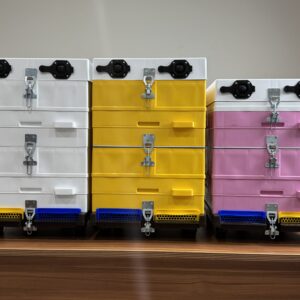 The Anel Complete Hive